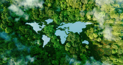 Загальні положення та нормативно-правова база СВАМ: методичні рекомендації №1